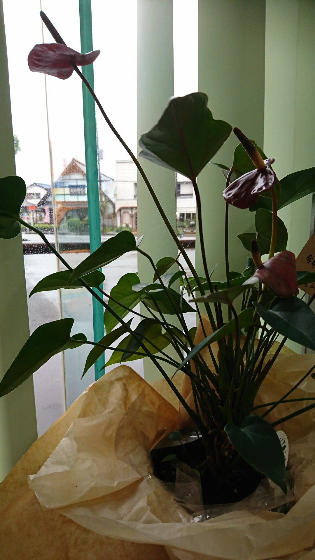 b0374059_12270770.jpg