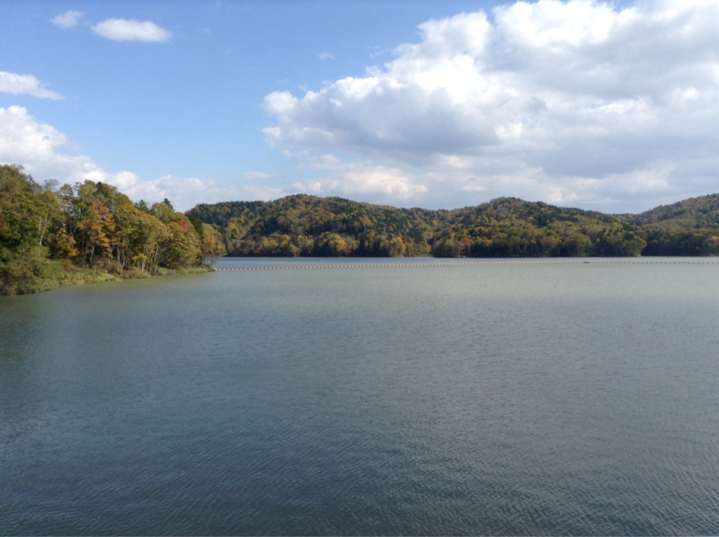 b0122262_21571330.jpg