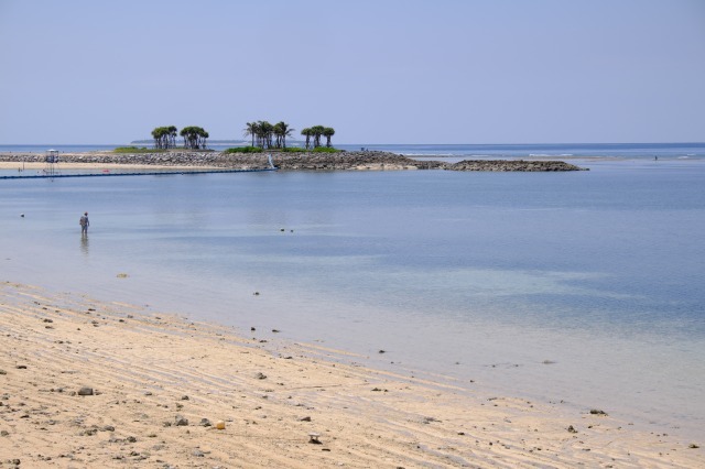 f0129062_21462127.jpg