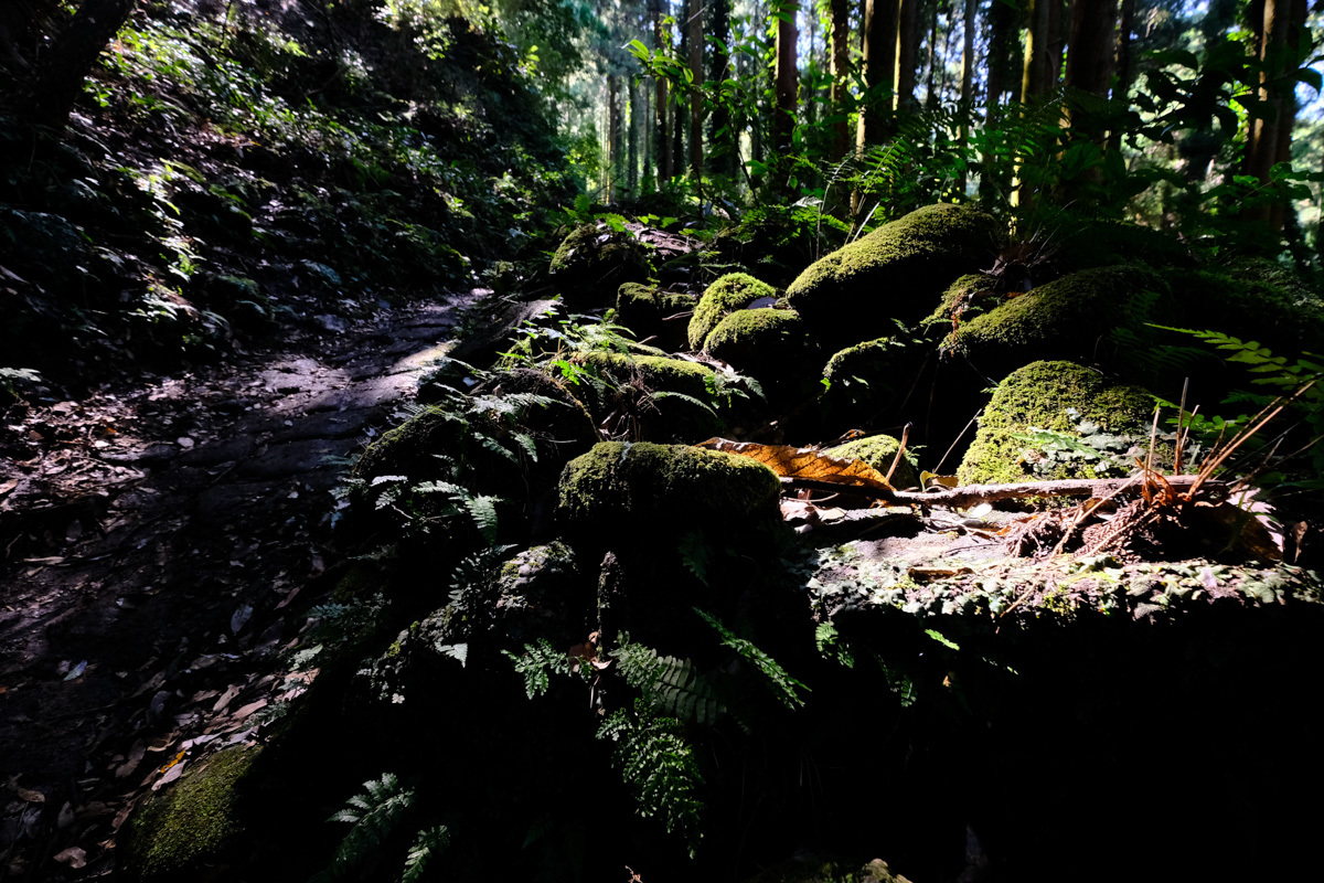 c0084666_22140951.jpg