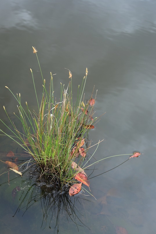 e0304170_20314589.jpg