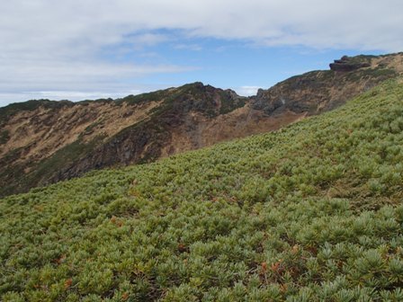 a0344771_18320046.jpg