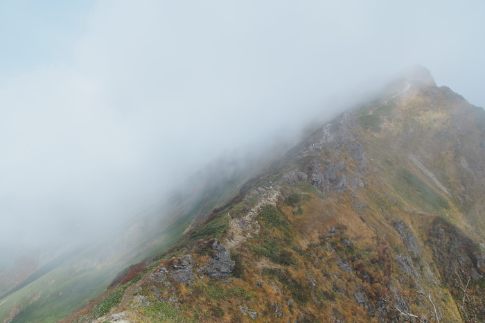 e0307372_15115839.jpg