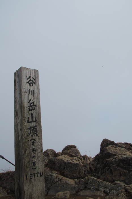 e0307372_15130050.jpg