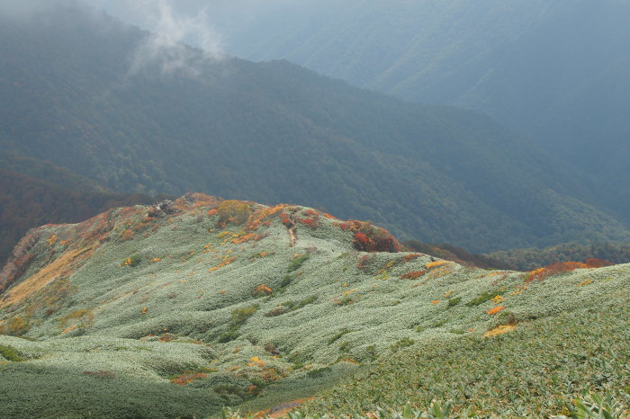 e0307372_21125065.jpg