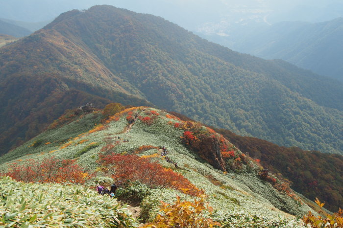 e0307372_21143933.jpg