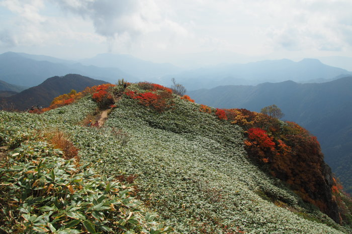 e0307372_21150467.jpg
