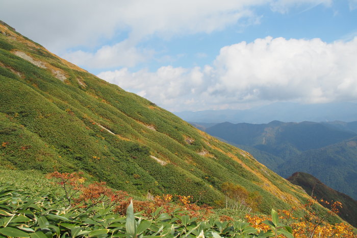 e0307372_21160350.jpg