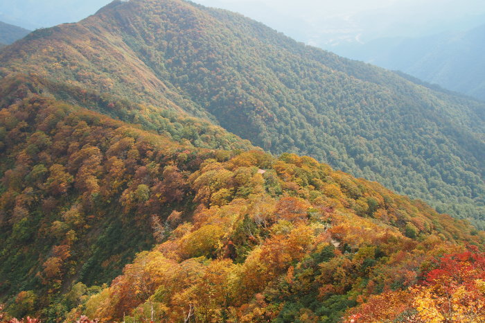 e0307372_21174821.jpg
