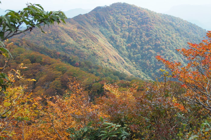 e0307372_21204595.jpg