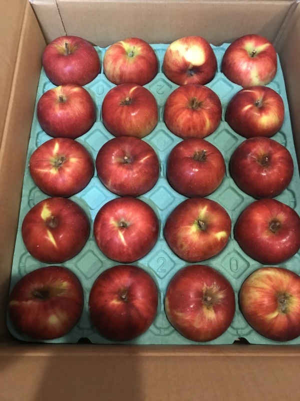 紅玉とおうちごはん_c0366777_20363341.jpg