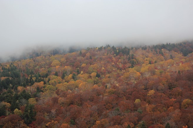 2017.10.15山形県米沢市　白布峠_e0369182_19051200.jpg