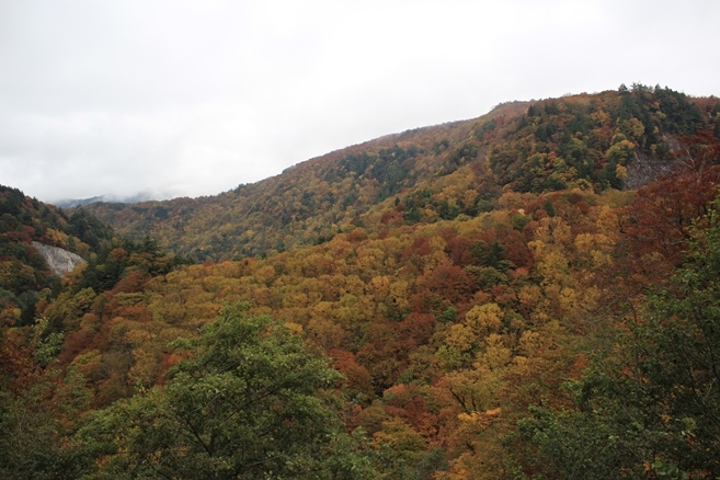 2017.10.15山形県米沢市　白布峠_e0369182_19152151.jpg