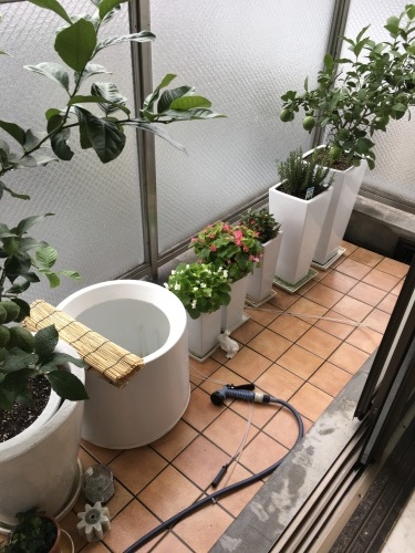 f0347891_20591420.jpeg