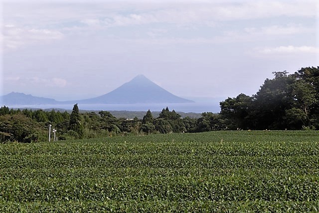 藤田八束の鉄道写真＠鹿児島県南九州市開聞岳が大爆発？・・・信じられない写真が撮れました、鉄道写真も追加_d0181492_23132864.jpg