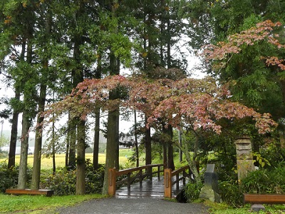 遠野・『かっぱ淵』　2017年10月_d0264892_1132338.jpg