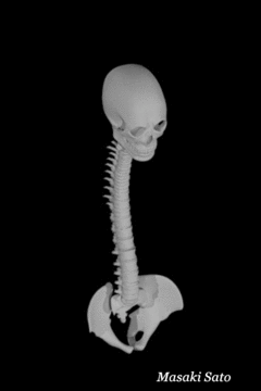 f0074992_15014285.gif