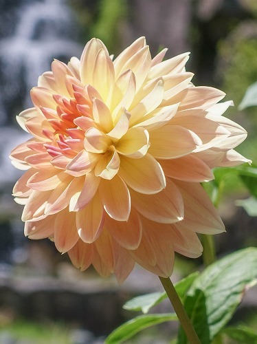 e0176993_07111872.jpg