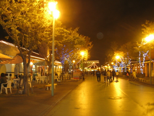 e0369096_21170163.jpg