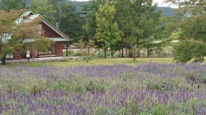 八ヶ岳周辺の美術館_b0378101_17100241.jpg