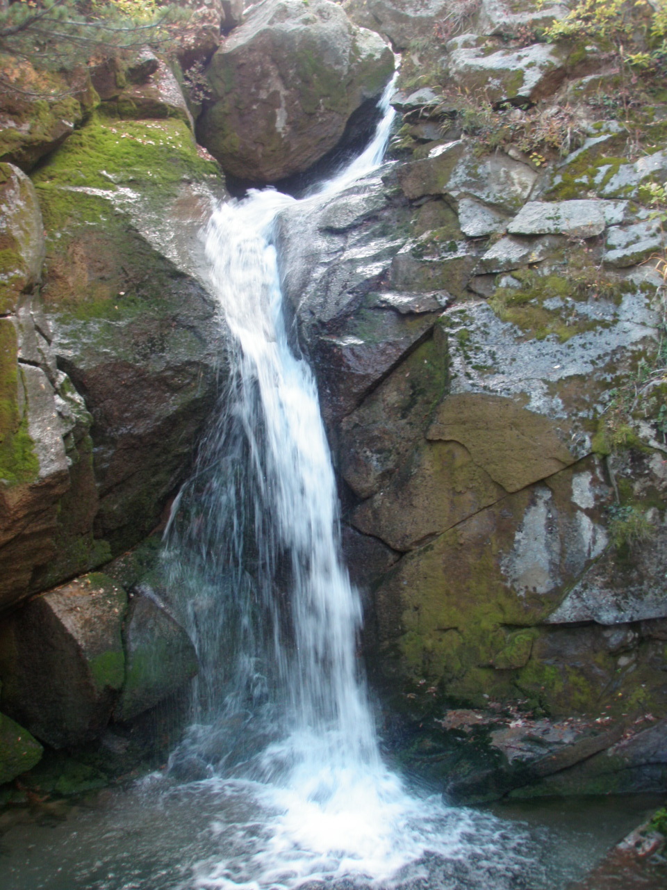 d0342206_18341379.jpg