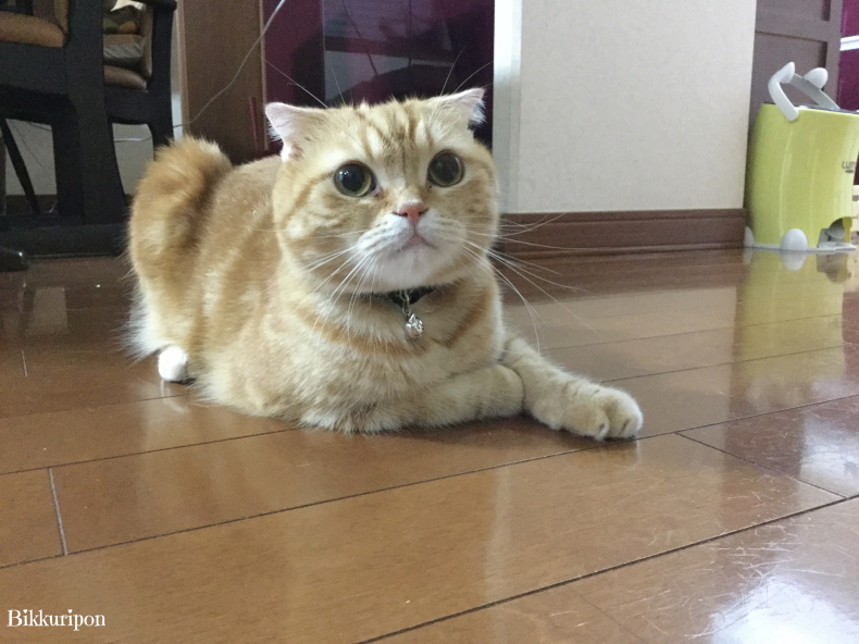 不機嫌_d0344913_08314578.jpg