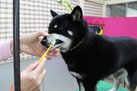 新しいお友達が多かった月曜日（＾＾）_f0170713_6125716.jpg