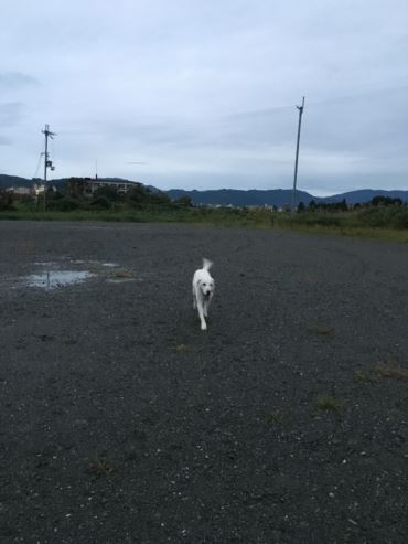 雨の日の休日は、片付けるに限る・・・。_c0114121_0134617.jpg