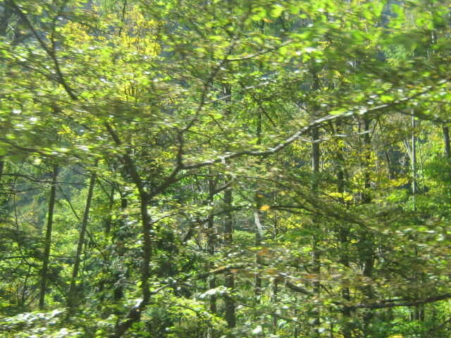 d0162225_23193125.jpg