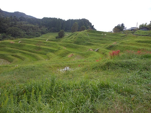a0202528_02154143.jpg