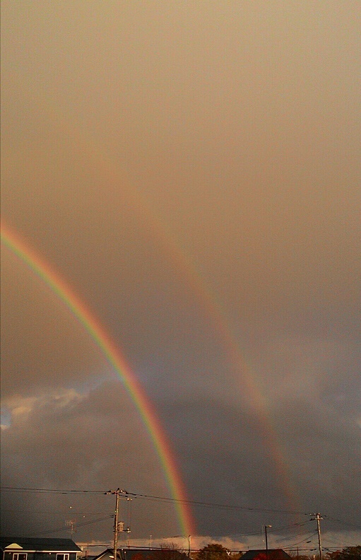 c0188229_16324.jpg