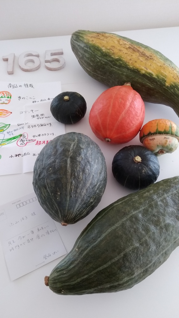 登坂農園@北海道から　かぼちゃが届きました(^^♪_b0204930_11305498.jpg
