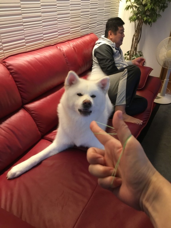 e0364035_13143816.jpeg