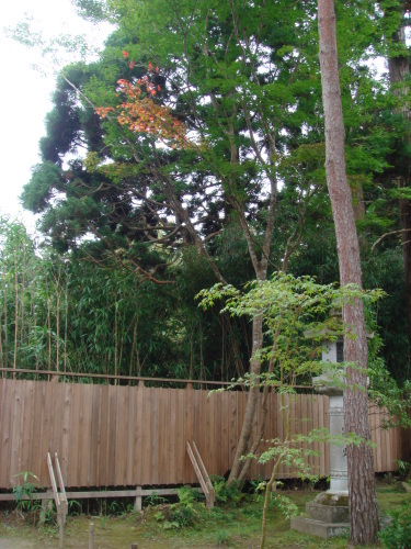 世界遺産 平泉 #1_b0207642_18263822.jpg