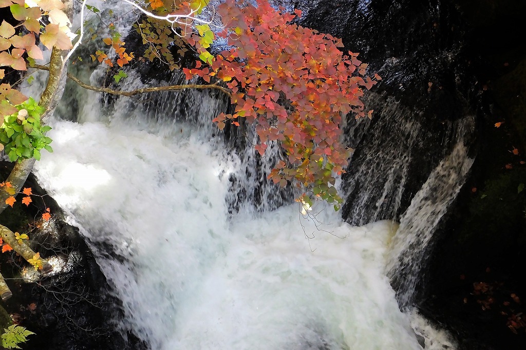 b0236251_11213447.jpg