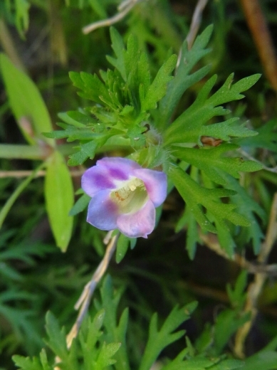 a0018655_10233910.jpg