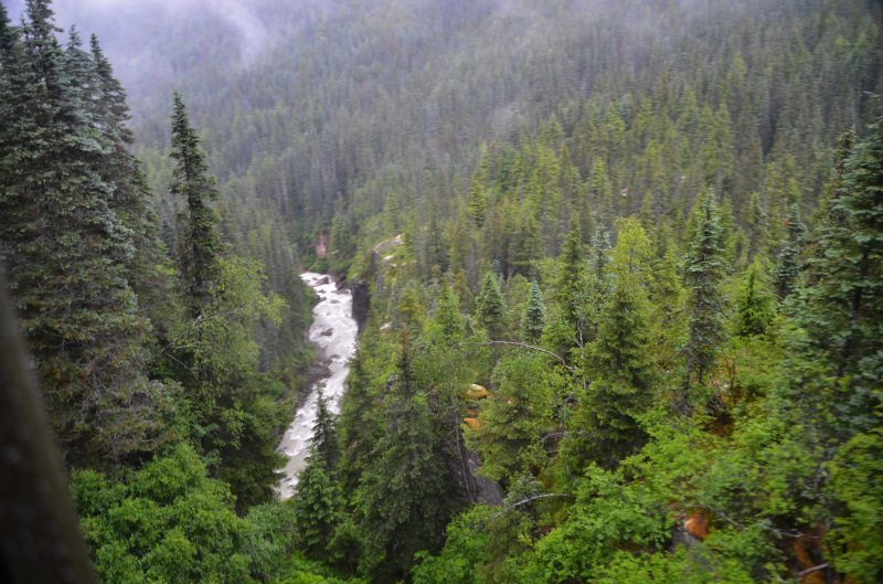 スキャグウェイで一番人気、ホワイトパス＆ユーコンルート鉄道はお天気が良ければ最高：ルビープリンセスアラスカクルーズ_f0054556_12053080.jpg