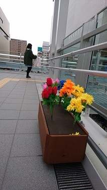 a0208560_15092570.jpg