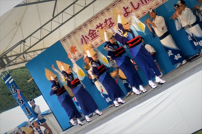 雨天下の小金井公園にて、阿波踊り撮影_c0362374_01440276.jpg