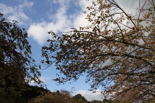 e0114977_18311751.jpg