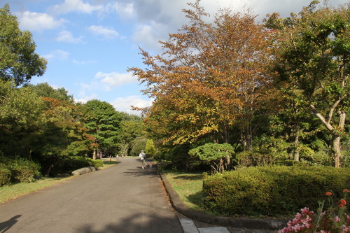 e0114977_18331906.jpg
