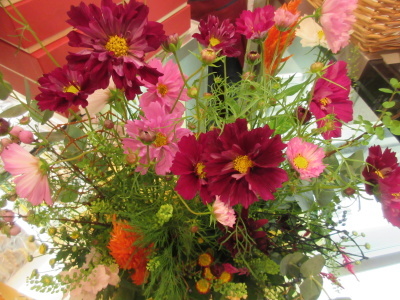 今週のお花~_a0171984_17315861.jpg