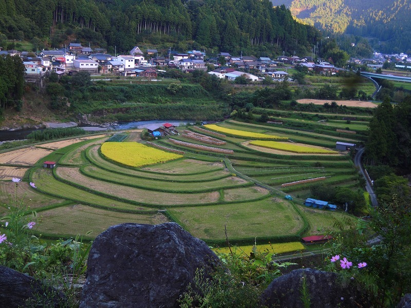 有田川のあらぎ島_b0163792_21560032.jpg