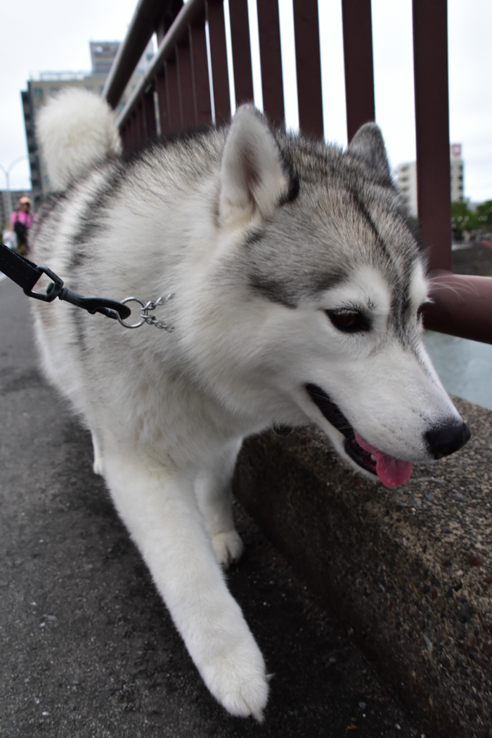 合間を縫って (*^_^*)_c0049299_22202448.jpg