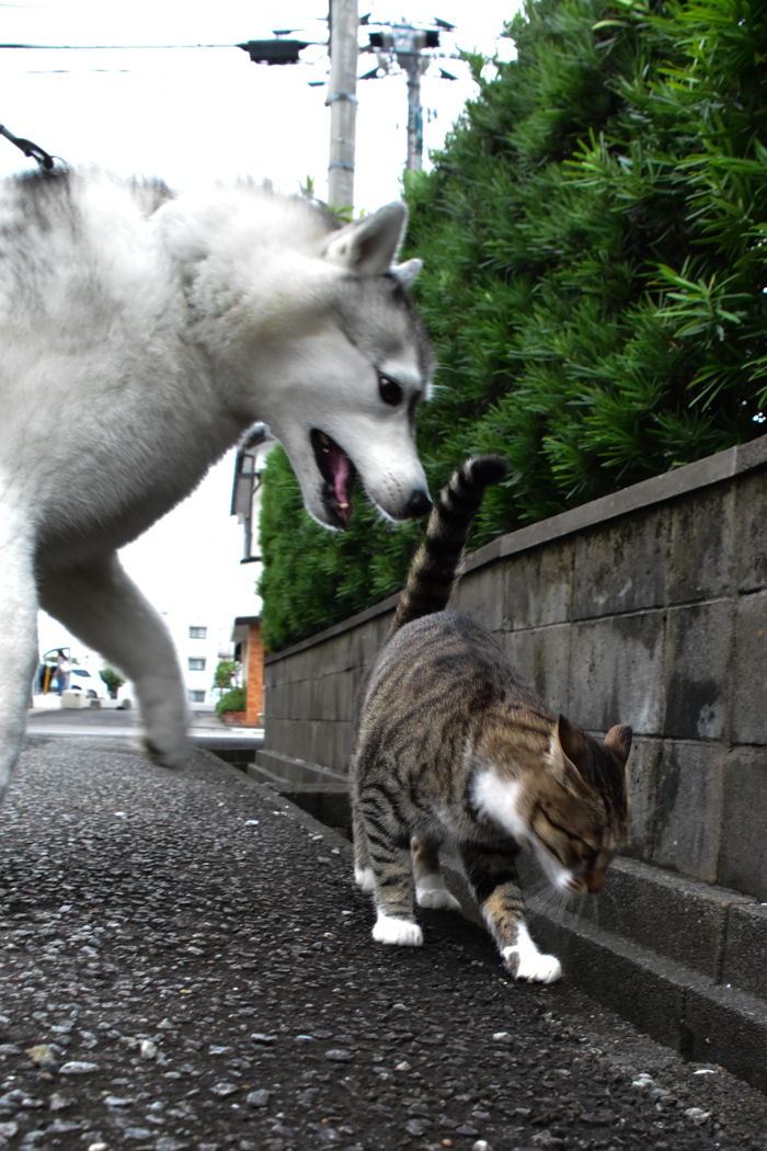 合間を縫って (*^_^*)_c0049299_22270910.jpg