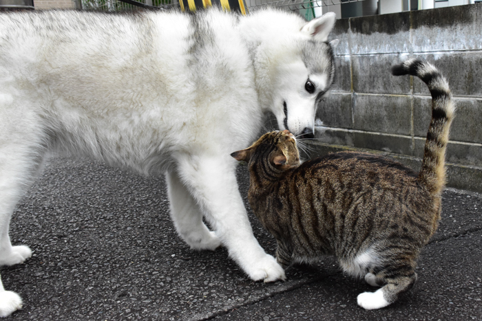 合間を縫って (*^_^*)_c0049299_22323657.jpg