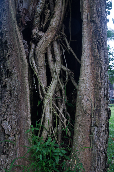 c0248100_06123224.jpg
