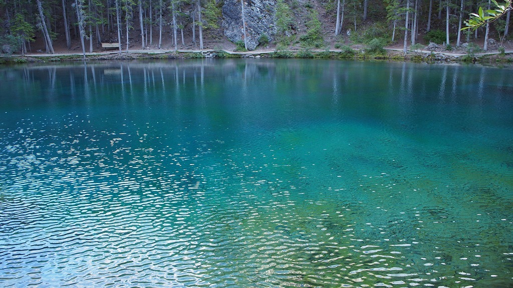 b0021211_16175569.jpg