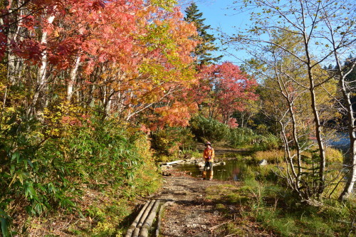 2017年10月 『深秋の山歩き（空沼岳）、岩登り（西岩狭）』October、2017 \"Climbimg in the Autumn Color\"_c0219616_17063858.jpg