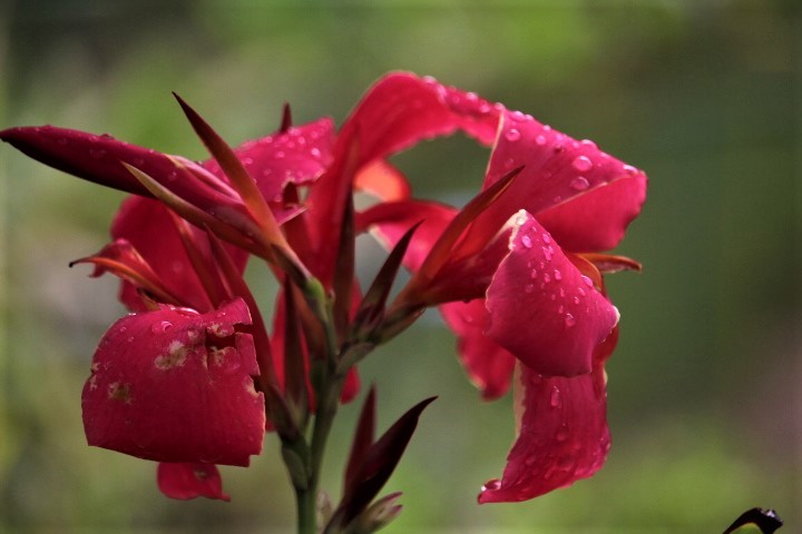 f0354923_08501163.jpg